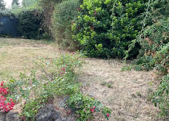 Il Rifugio Nel Roseto - *